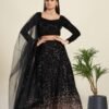 Luxurious Black Velvet Lehenga