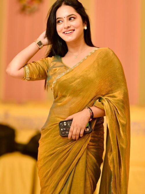 Luxurious Two-Tone Fendy Chiffon Saree