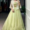 Premium Melon Green Allnen Crush Lehenga Set with 5 Meter Flair