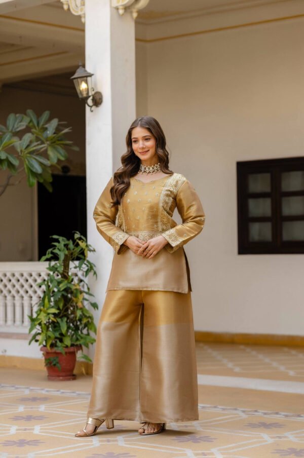 Banarasi Viscose Co-Ord Set – Elegant Ethnic Fusion